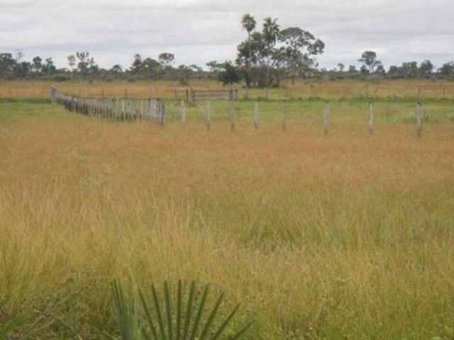 Sítio e chácara venda em Região Geográfica Imediata de Cáceres, Antônio João