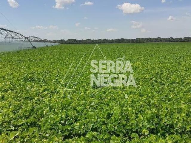 Sítio e chácara venda em Região Geográfica Imediata de Goiás - Itapuranga, Jussara