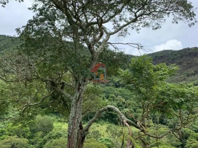 Fazenda aluguel em Região Geográfica Imediata de Belo Horizonte, Região Metropolitana de Belo Horizonte