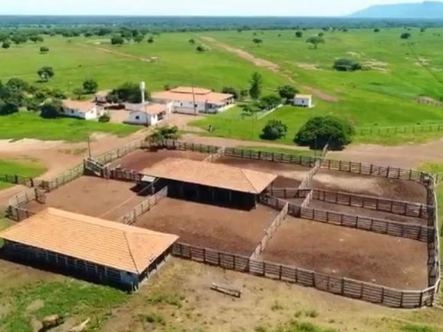 Sítio e chácara venda em Região Geográfica Imediata de Posse-Campos Belos, Alvorada do Norte
