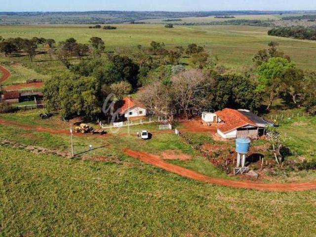 Sítio e chácara venda em Amambai, Mato Grosso do Sul