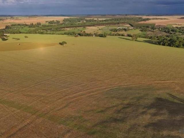 Sítio e chácara venda em Região Geográfica Imediata de Anápolis, Anápolis