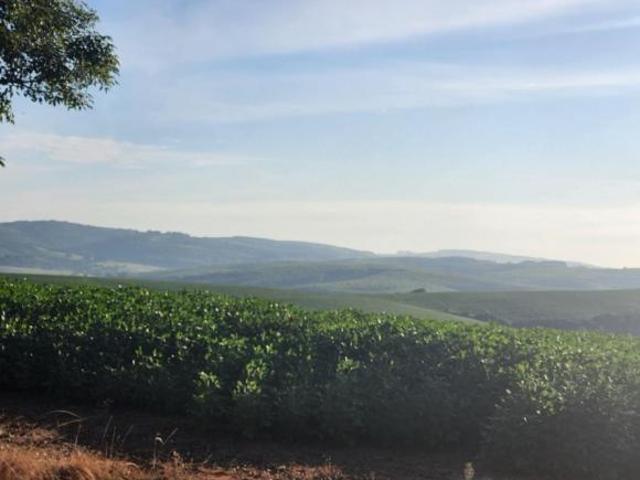 Sítio e chácara venda em Sede, Eldorado do Sul
