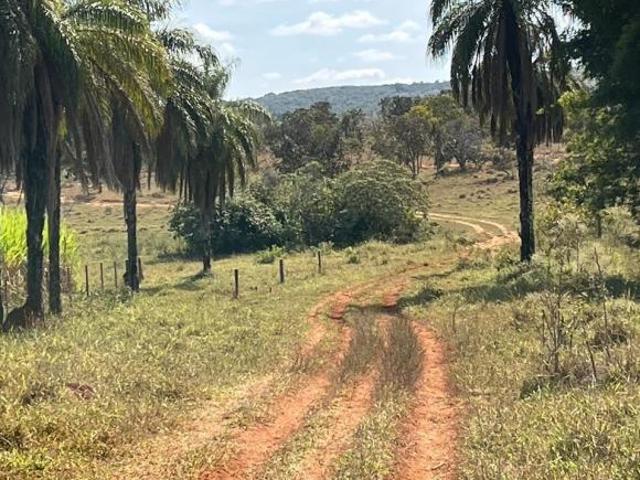 Sítio e chácara venda em Santa Filomena, Curvelo