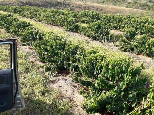 Sítio e chácara venda em Região Geográfica Imediata de Lavras, Bom Sucesso