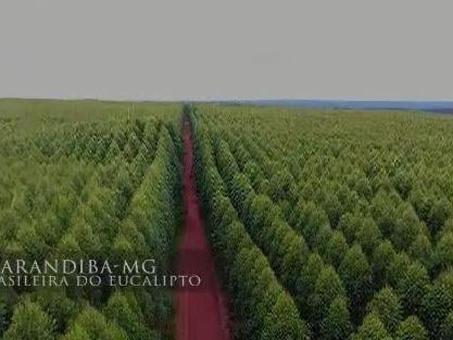 Sítio e chácara venda em Itamarandiba, Região Sudeste