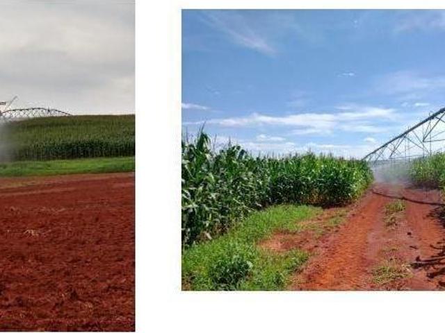 Sítio e chácara venda em Região Geográfica Imediata de Diamantina, Diamantina