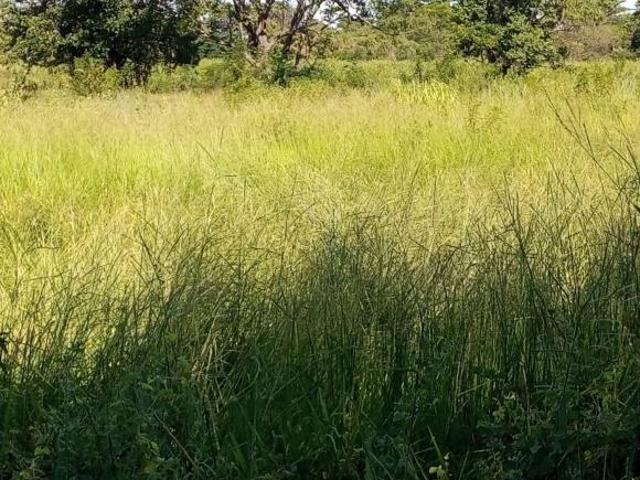 Sítio e chácara venda em Santo Antônio, Pirapora