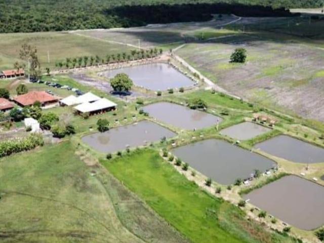 Sítio e chácara venda em Região Imediata de Araraquara, Araraquara