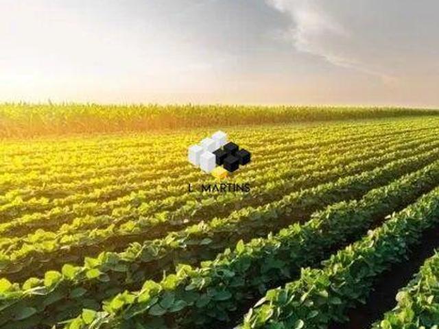 Sítio e chácara venda em Região Geográfica Imediata de Camaquã, Camaquã