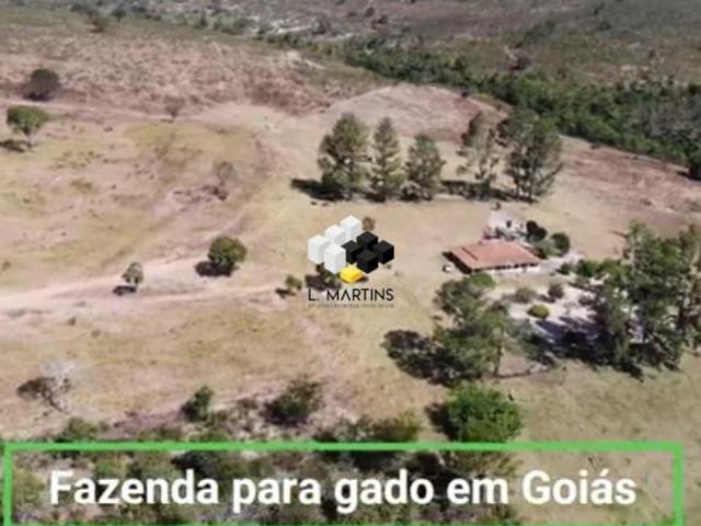 Sítio e chácara venda em Região Geográfica Imediata de Goiás - Itapuranga, Goiás