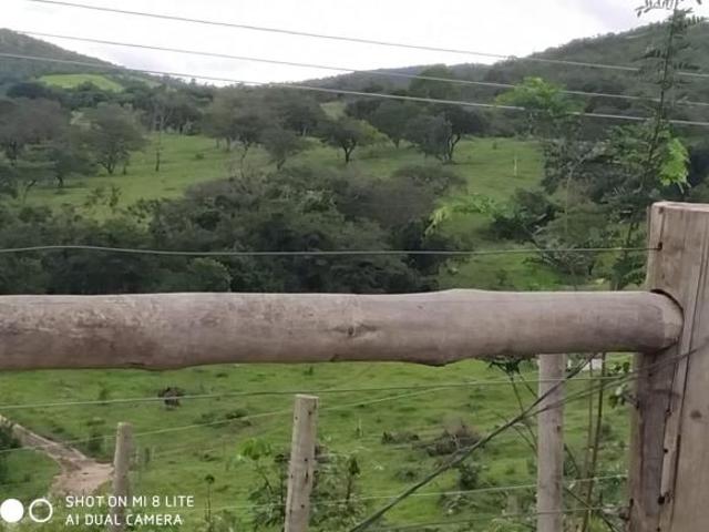 Sítio e chácara venda em Região Geográfica Imediata de Pará de Minas, Pará de Minas