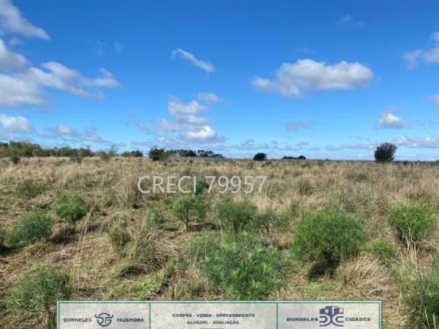 Sítio e chácara venda em Região Geográfica Imediata de São Borja, Maçambara