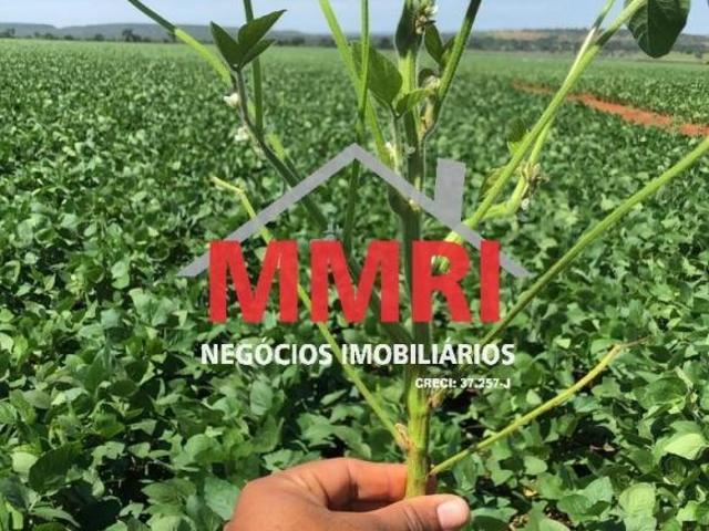 Sítio e chácara venda em Região Geográfica Imediata de Janaúba, Manga