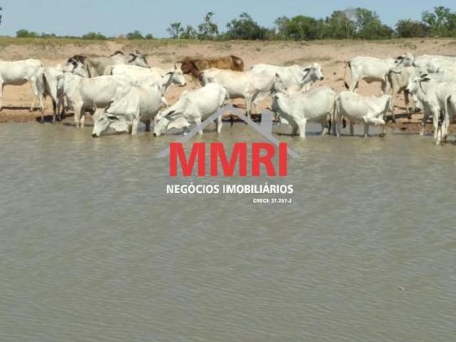 Sítio e chácara venda em Região Geográfica Imediata de Confresa - Vila Rica, São Felix do Araguaia