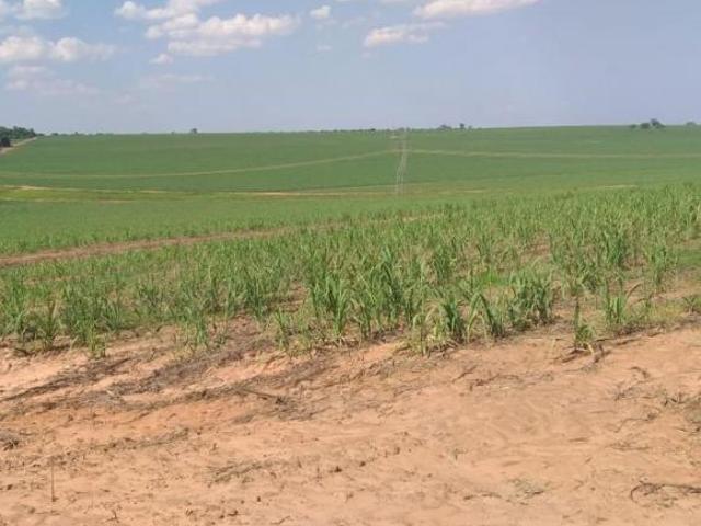 Sítio e chácara venda em Região Imediata de São Carlos, Região Metropolitana de Ribeirão Preto