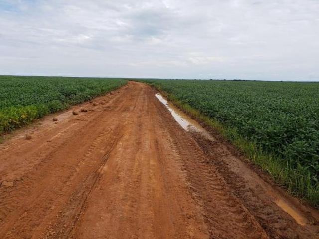 Sítio e chácara venda em Região Geográfica Imediata de Diamantino, Diamantino