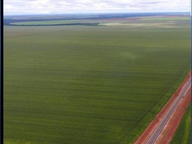 Sítio e chácara venda em Região Geográfica Imediata de Diamantino, Diamantino
