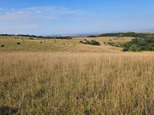 Sítio e chácara venda em Região Geográfica Imediata de Porto Alegre, Aglomeração Urbana do Litoral Norte
