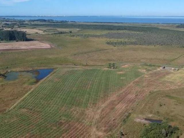 Sítio e chácara venda em Região Geográfica Imediata de Tramandaí - Osório, Aglomeração Urbana do Litoral Norte