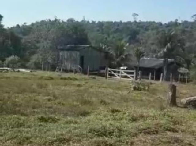 Sítio e chácara venda em Região Geográfica Imediata de Peixoto de Azevedo - Guarantã do Norte, Guarantã do Norte