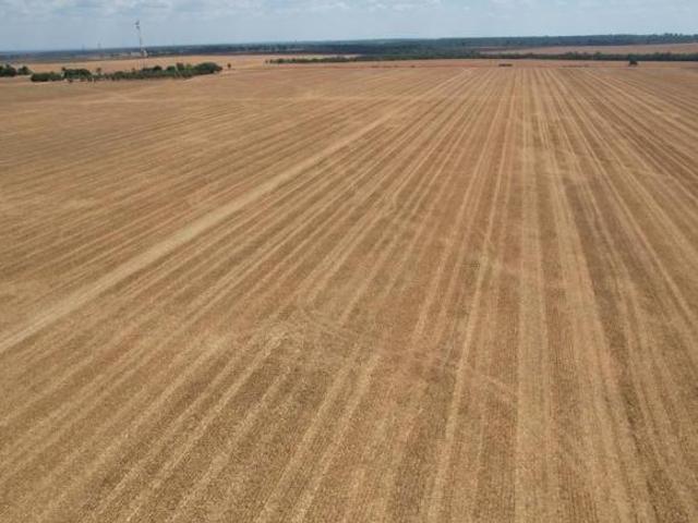 Sítio e chácara venda em Região Geográfica Imediata de Sinop, Sinop