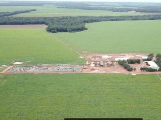 Sítio e chácara venda em Região Geográfica Imediata de Juara, Porto dos Gaúchos