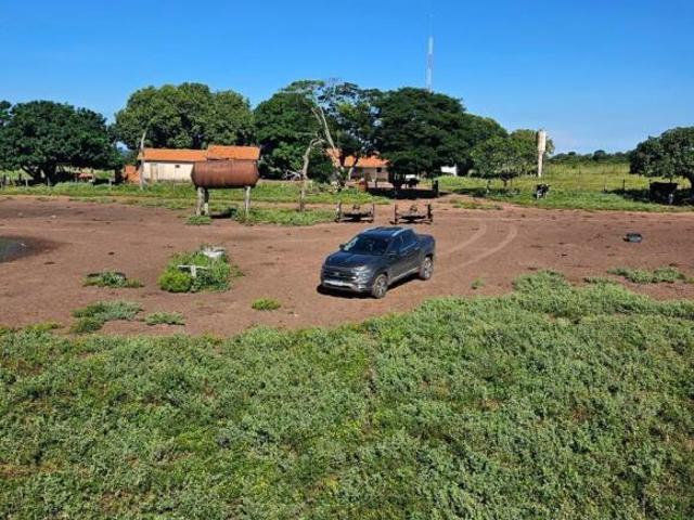 Sítio e chácara venda em Baliza, Região Geográfica Intermediária de São Luís de Montes Belos-Iporá