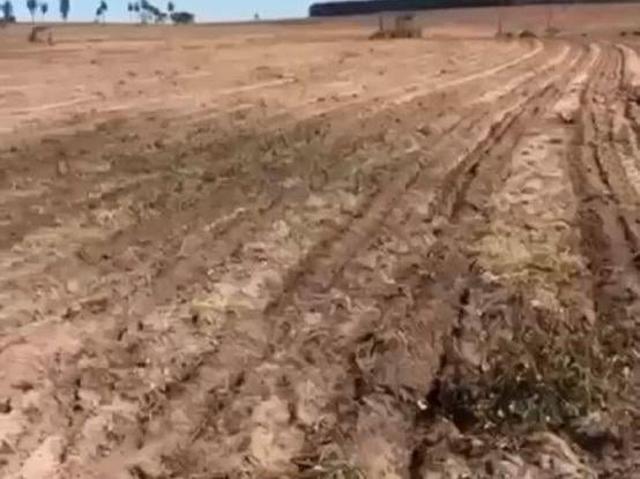 Sítio e chácara venda em Região Imediata de Jaú, Barra Bonita