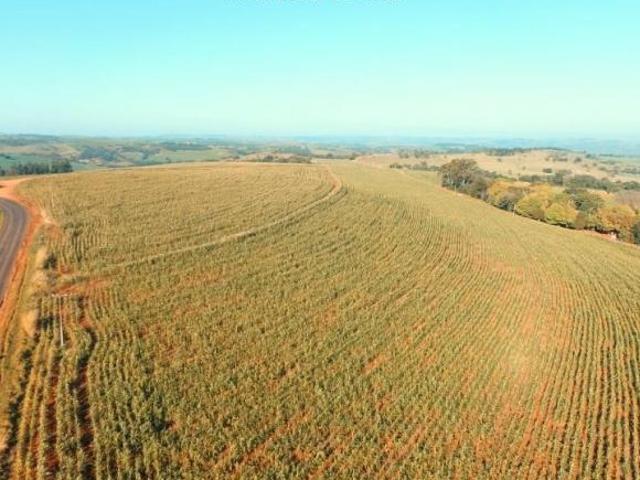 Sítio e chácara venda em Região Geográfica Imediata de Santo Antônio da Platina, Barra do Jacaré