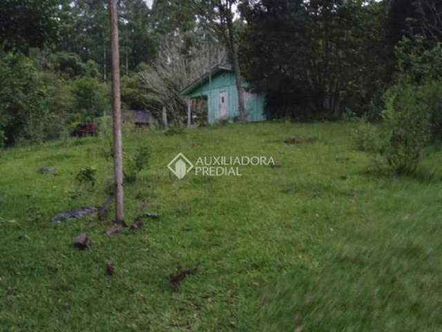 Sítio e chácara venda em Barra do Ouro, Maquiné