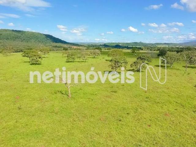 Sítio e chácara venda em Região Geográfica Imediata de Unaí, Região Integrada de Desenvolvimento do Distrito Federal e Entorno