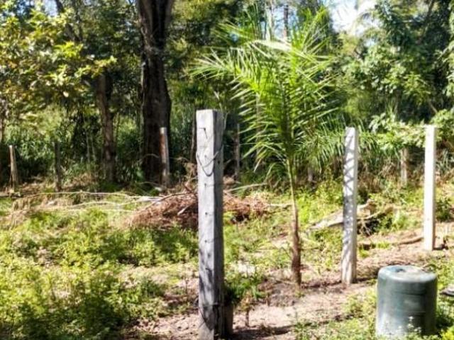 Sítio e chácara venda em Região Geográfica Imediata de Uruaçu - Niquelândia, Colinas do Sul