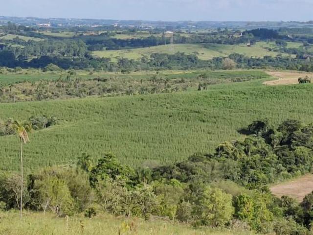 Sítio e chácara venda em Região Imediata de Botucatu, Bofete