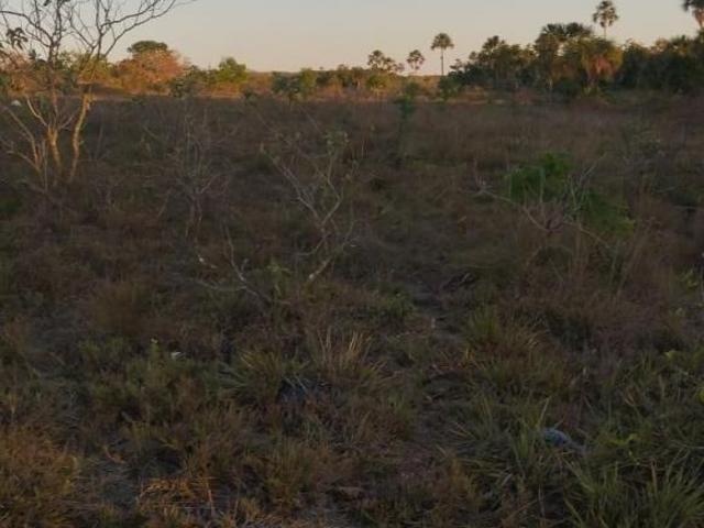 Sítio e chácara venda em Bonfinópolis de Minas