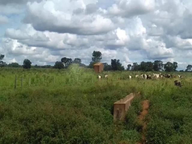 Fazenda venda em Região Geográfica Imediata de Montes Claros, Brasília de Minas