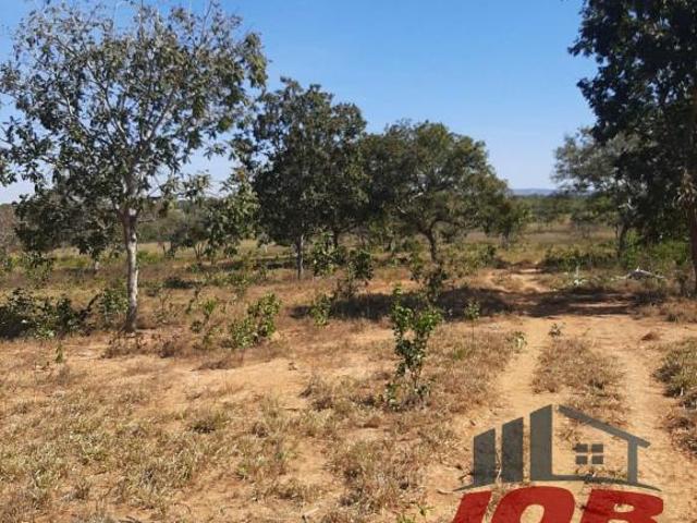 Sítio e chácara venda em Região Geográfica Imediata de Januária, Januária
