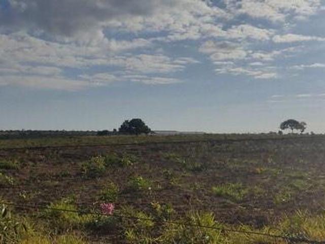 Sítio e chácara venda em Região Geográfica Imediata de Unaí, Região Integrada de Desenvolvimento do Distrito Federal e Entorno
