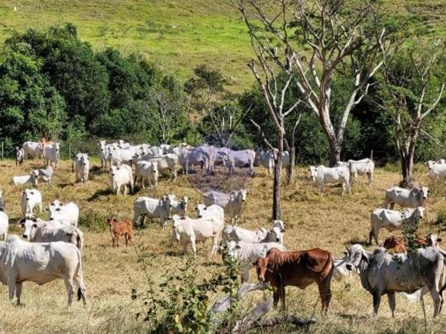 Sítio e chácara venda em Caçapava