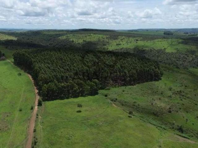 Sítio e chácara venda em Região Geográfica Imediata de Águas Lindas de Goiás, Região Integrada de Desenvolvimento do Distrito Federal e Entorno