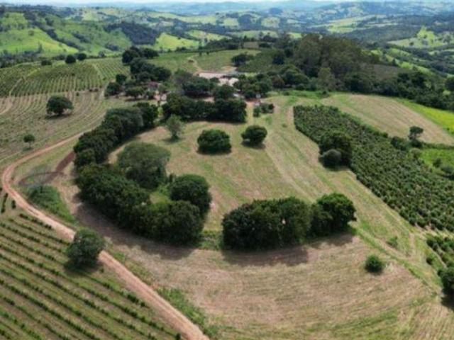 Sítio e chácara venda em Região Geográfica Imediata de São Sebastião do Paraíso, São Sebastião do Paraíso