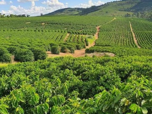 Sítio e chácara venda em Região Geográfica Imediata de Lavras, Santo Antônio do Amparo