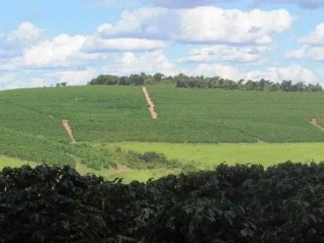 Sítio e chácara venda em Região Geográfica Imediata de Lavras, Santo Antônio do Amparo