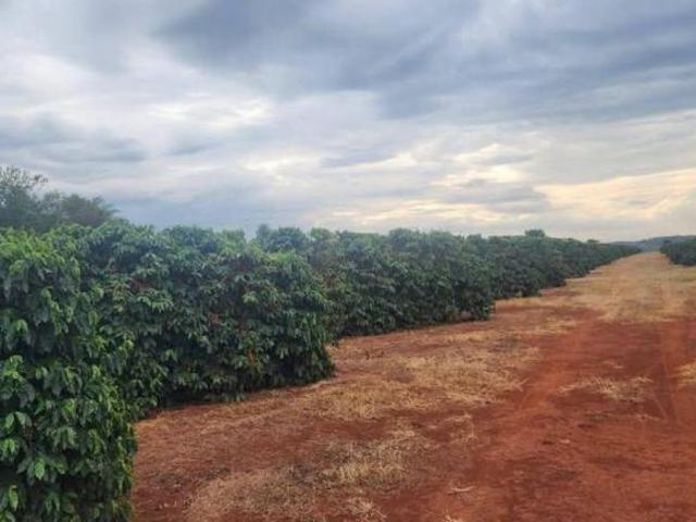 Sítio e chácara venda em Vila Dalva, São Sebastião do Paraíso
