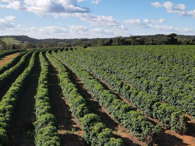 Sítio e chácara venda em Região Geográfica Imediata de Patrocínio, Patrocínio