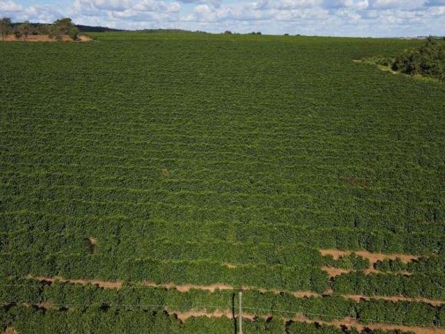 Sítio e chácara venda em Região Geográfica Imediata de Patrocínio, Patrocínio