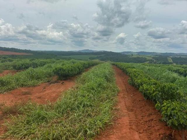 Sítio e chácara venda em Região Geográfica Imediata de Alfenas, Alfenas