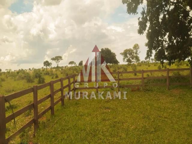 Fazenda venda em Região Geográfica Imediata de Campo Grande, Campo Grande
