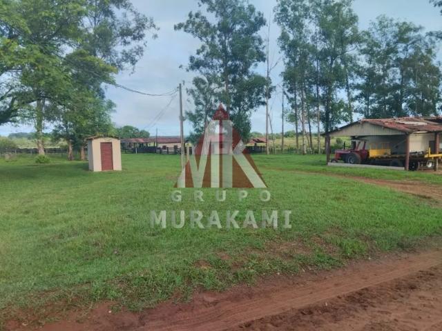 Fazenda venda em Região Geográfica Imediata de Campo Grande, Campo Grande