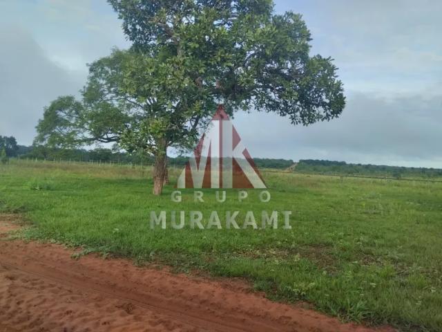 Fazenda venda em Região Geográfica Imediata de Campo Grande, Campo Grande